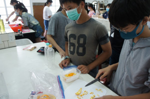 SONY DSC